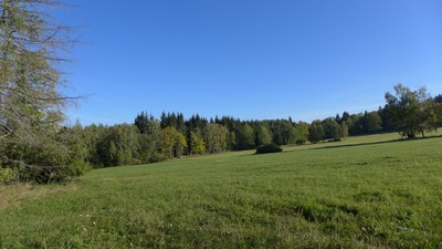 Loukou vzhůru od modré značky na Ptákovu Lhotu