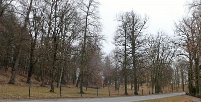 Silnice park rozdělila