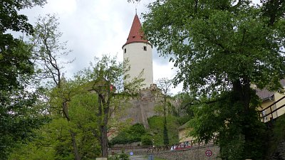 p1230298.jpg