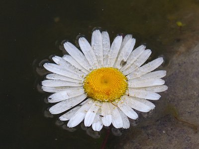 p1260120.jpg
