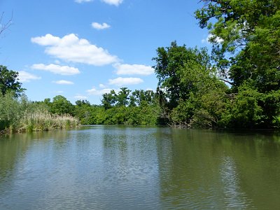 p1260248.jpg