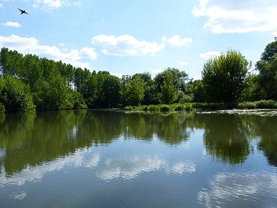 p1260259.jpg