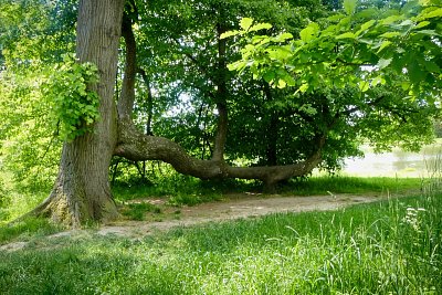 p1430842e-2.jpg