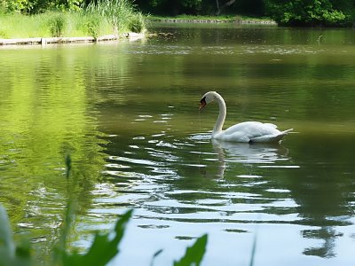 p1430981e-2.jpg