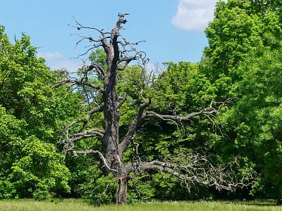p1440103-1--2.jpg