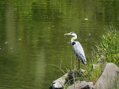 p1440155e-1.jpg
