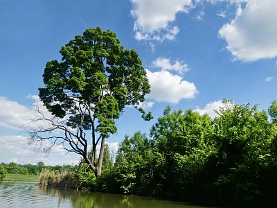 p1440174e-1.jpg
