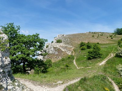 p1440313-1--1.jpg