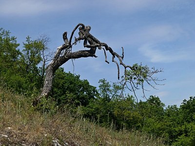 p1440339e-1.jpg