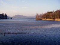 Máchovo jezero v zimě
