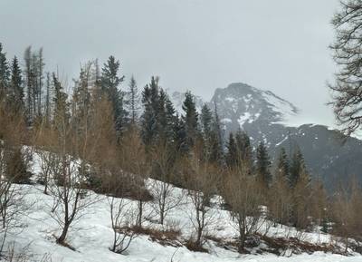 Pohled na Tatry