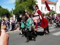 Král Vladislav s manželkou