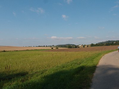 p8167587-2.jpg