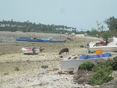 Odliv v chudinské čtvrti Nukualofa