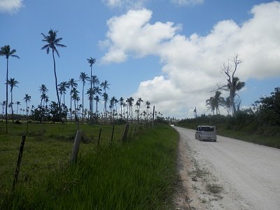 Vnitrozemí Tongatapu