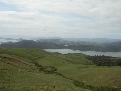 Coromandel 2018