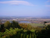 ryb. Žabakor