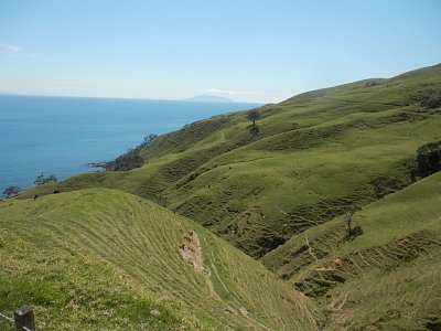 Coromandel 2018