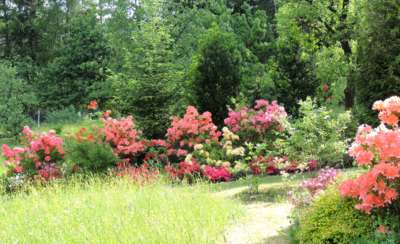 Pějme píseň dokola