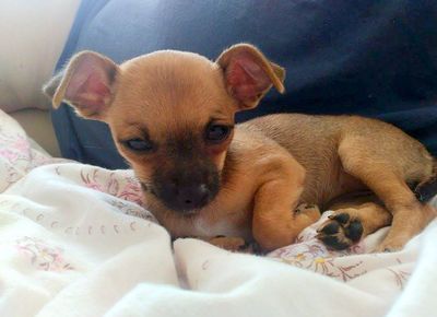 To jsem ještě byla malá holka