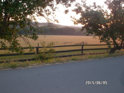 ranní cesta do práce