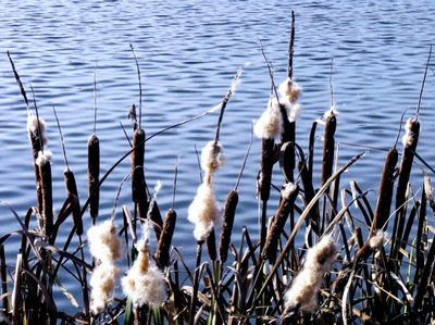 Dá si někdo doutník?