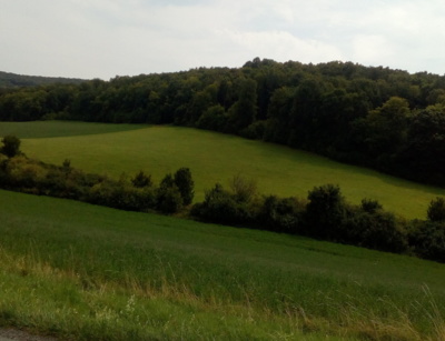 zelená v pozdním létě