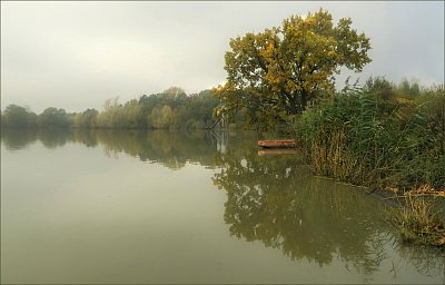 Bartošovický rybník (2)*