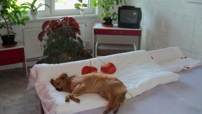 Zuzka dala do placu námět - spánek. Proč ne ???