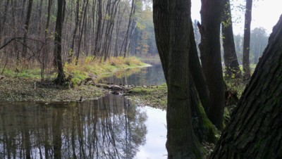 Pramen řeky Ploučnice v Osečné