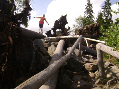 A přece to zvládla