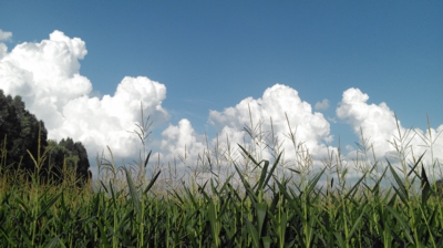 Že by konečně zapršelo?