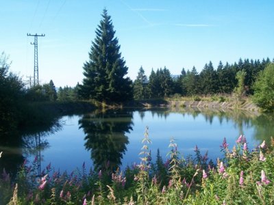 šumavské zrcadlení