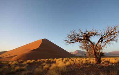 pust namib 3.jpg