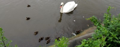 Děčínské zátiší