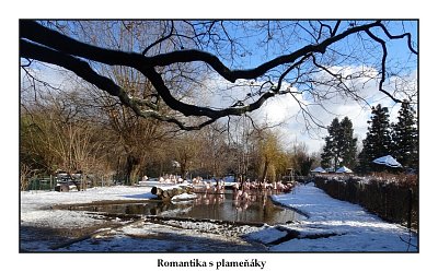 romanticka-zoo.jpg