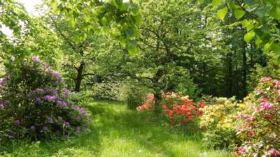 Rozkvetlé Jablonné v Podještědí