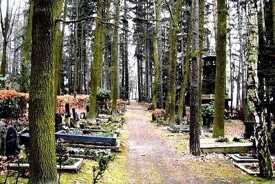 Lesní hřbitov *