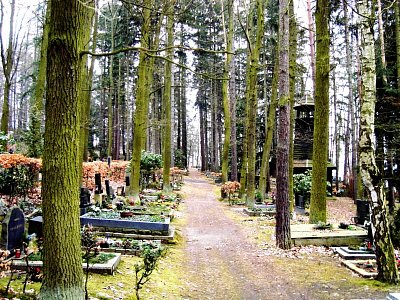 lesní hřbitov na svahu Kraví hory