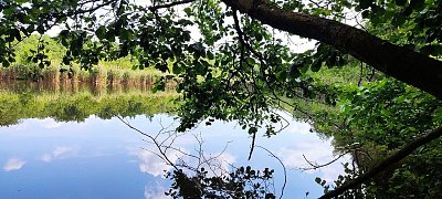 Rybník Velká Houkvice