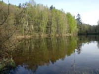 Rybník pod pasekou, 