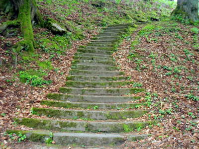 Kam mě asi zavedou?