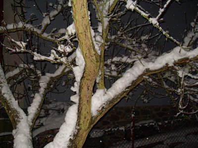 Zajímavá kombinace sněhu?