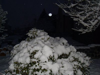 Večerní sněhový zážitek*