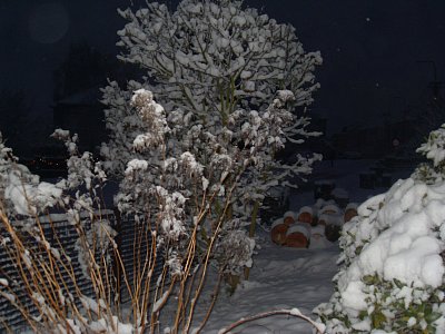 I toto je sněhová krása