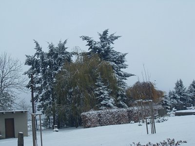 Na hřbitově je souvislá neposkvrněná sněhová nadílka