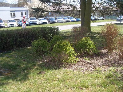 Příroda se začíná zelenat úplně všude