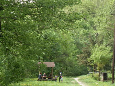 sdc10035.jpg