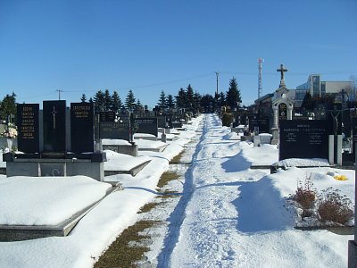 Cestička vede na konec hřbitova