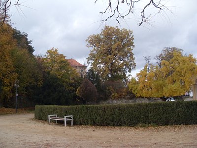 Opuštěná lavečka v parku